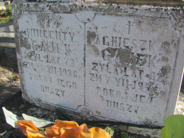 Wincenty Gajek 1863 Brzeziny k/Morawicy - Grobonet - Wyszukiwarka osób pochowanych