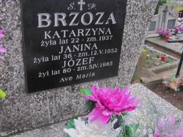 Józef Brzoza 1905 Brzeziny k/Morawicy - Grobonet - Wyszukiwarka osób pochowanych