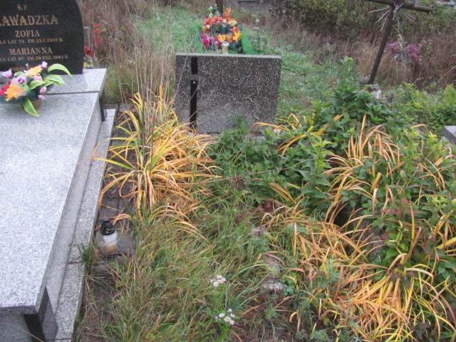  NN Brzeziny k/Morawicy - Grobonet - Wyszukiwarka osób pochowanych